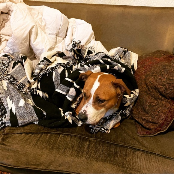 Closet Info Here! 💕 - Picture 3 of 5